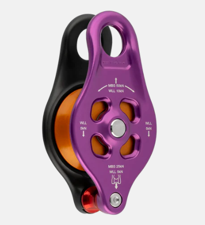 DMM Pinto Rig 2