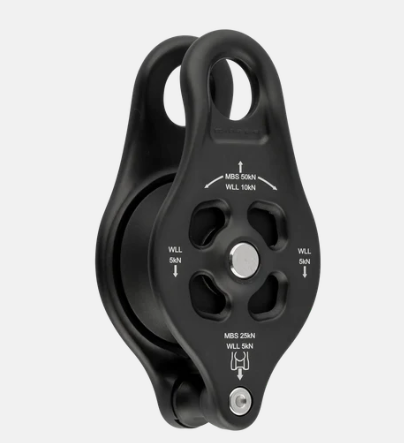 DMM Pinto Rig 2